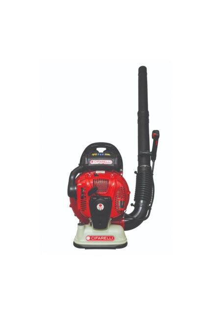 Bl1200 Benzinli Üfleme Makinesi 5 Hp