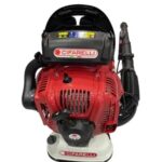 Bl 1200 Motorlu Üfleme