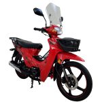 Apachi Myra 100cc benzinli motosiklet