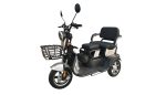 Apachi Q5 3 Tekerlekli Elektrikli Motosiklet