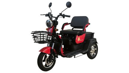 Apachi Q5 3 Tekerlekli Elektrikli Motosiklet