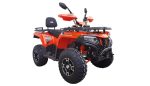 ATV Apachi Terra-X 300