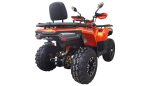 ATV Apachi Terra-X 300