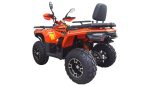 ATV Apachi Terra-X 300