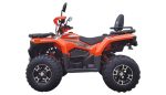 ATV Apachi Terra-X 300