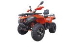 ATV Apachi Terra-X 300