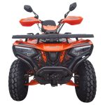 ATV Apachi Terra-X 300
