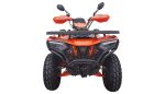 ATV Apachi Terra-X 300